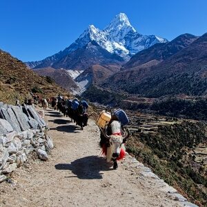 David Hainall / Nepál – země nebetyčných hor, barev a úsměvů