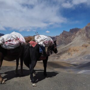 Radka Tkáčiková / Ladakh aneb malý Tibet