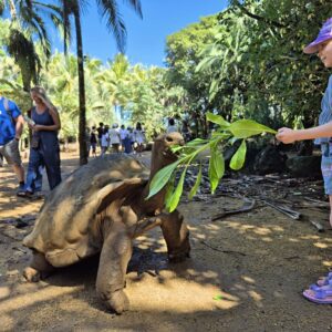 Michal Černý / Mauricius – zelený ostrov